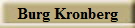 Burg Kronberg