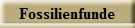 Fossilienfunde