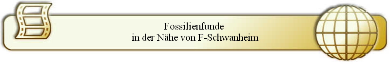 Fossilienfunde 
in der N�he von F-Schwanheim